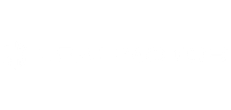 Leap Motors